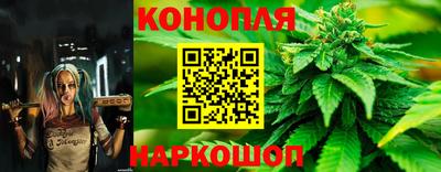 ешки Лесосибирск