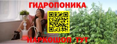 ешки Лесосибирск