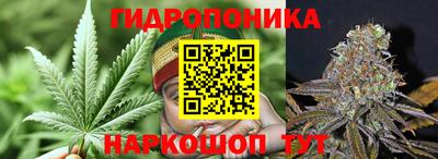 ешки Лесосибирск