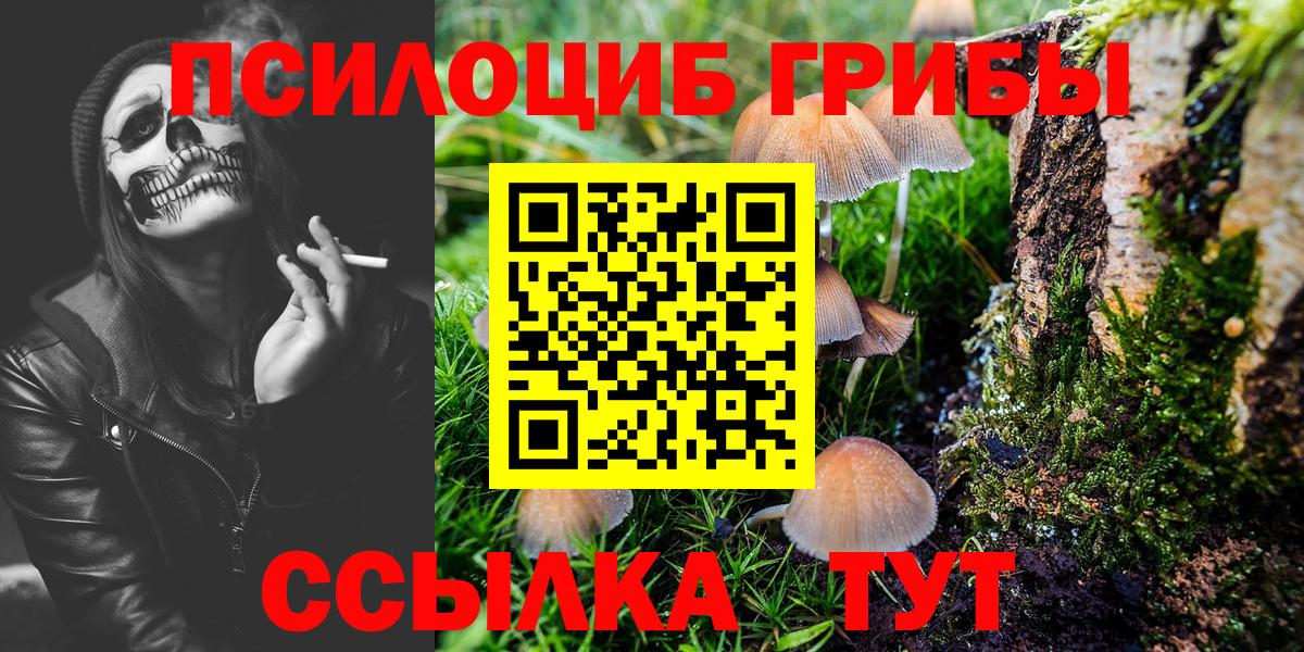 Дальнереченск  Галлюциногенные грибы Psilocybe  Галлюциногенные грибы Magic Shrooms  Вход с VPN 